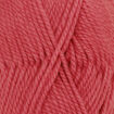Nepal - 8909 - coral.jpg